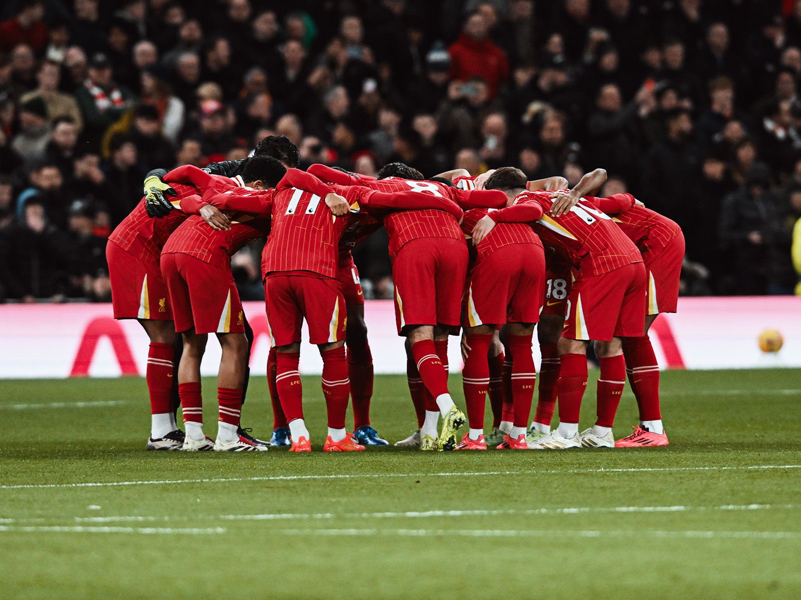 [中超]张玉宁先发出场迎战浙江队 国安赢得赛季主场首胜